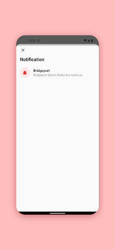 Bridgeport Sports Radio Screen 3