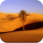 Cover Image of Baixar Desert Wallpaper HD  APK
