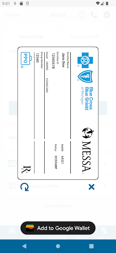 MESSA Screen 2