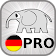 Deutsch Grammatik Test PRO icon