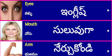 screenshot of Learn English From Telugu