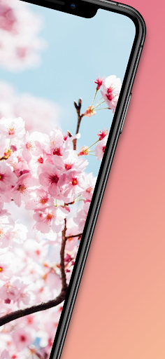 Aesthetic Spring Wallpaper