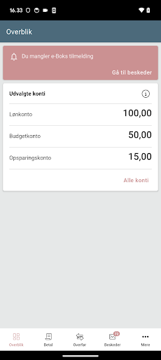Fælleskassen Screen 2