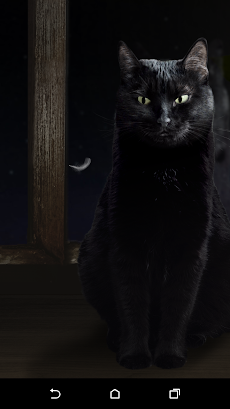 かわいい黒猫ライブ壁紙のおすすめ画像4