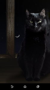 Lindo gato negro Fondos de pan - Aplicaciones en Google Play