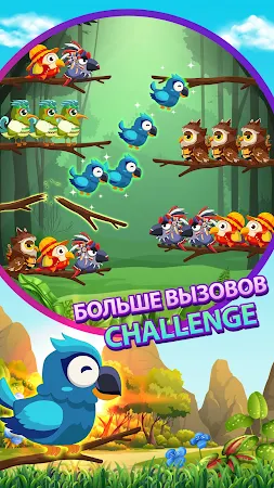Game screenshot Сортировка птиц 2 hack