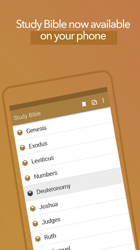 Study Bible explanation KJV Screen 2