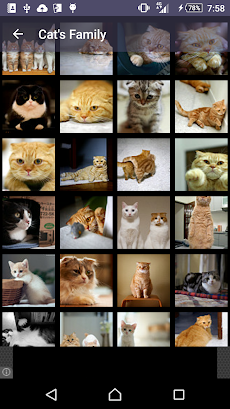 猫図鑑のおすすめ画像4