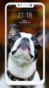 Screenshot 2 Boston Terrier Wallpaper android