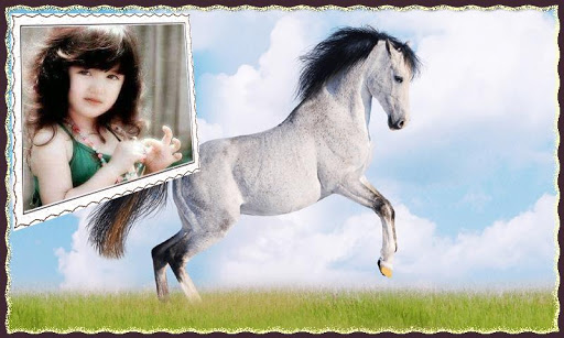 Animal Different Photo Frames Screen 2