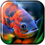 Aquarium 3D. Video Wallpaper icon