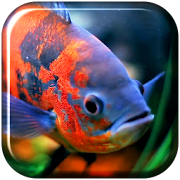 Aquarium 3D. Video Wallpaper  Icon