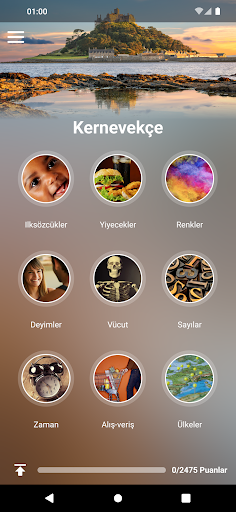 Uygulama önizlemesi