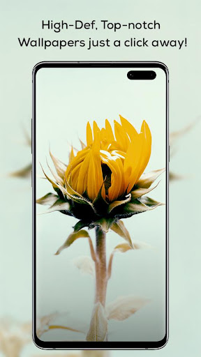 Wapper - HD Wallpapers Screen 2