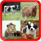 Learn Animals for Kids Free icon