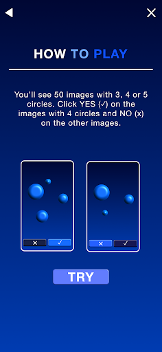 Bourdon Wiersma Test Screen 2