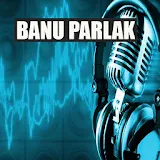 Banu Parlak Top song icon