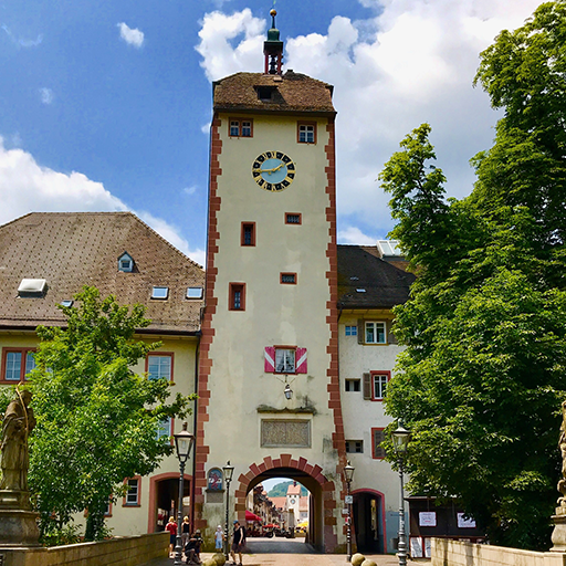 Waldshut-Tiengen • appIONE logo