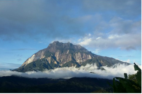 Free Nature Wallpaper