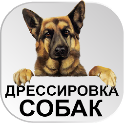 Icon image Дрессировка собак Тренировки