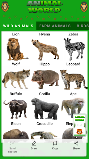 Animal World Screen 2