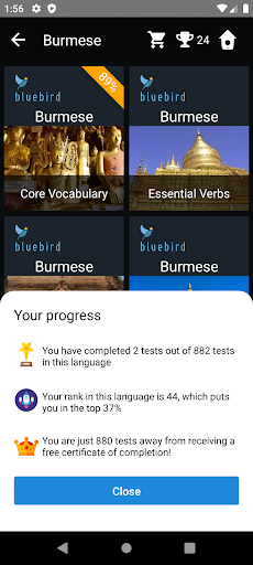 Burmese Language Tests Screen 3