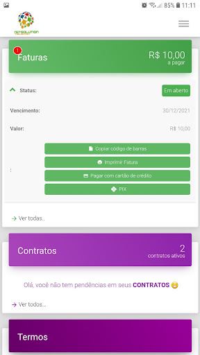 NetSolution Telecom Screen 2