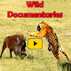Animal Documentary