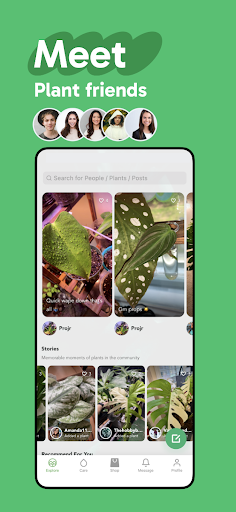 Palmstreet - Buy Plants Live Screen 3