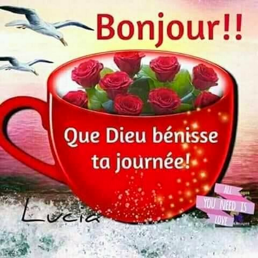 Bonjour Bonsoir Bonne Nuit  Icon