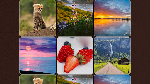 Jigsaw Puzzle Master screenshot 7