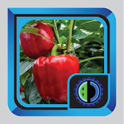 Top 10 Books & Reference Apps Like Paprika cultivation - Best Alternatives