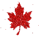 Canada Visa Calculator icon