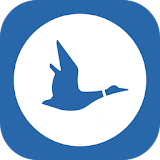 Blue Duck icon