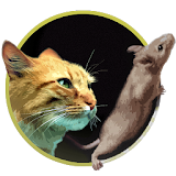 Catch the mouse for cats game icon