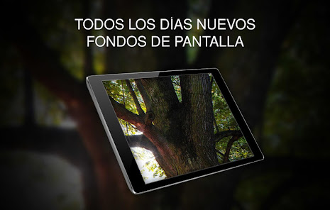 Screenshot 10 Fondos de pantalla con árboles android