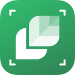 Cover Image of Download LeafSnap - Plant Identification 1.4.0 APK
