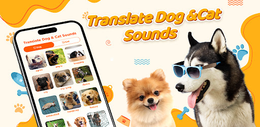 Dog & Cat: Pet Translator App