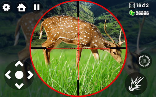 Animal Hunter Shooting Game Master 3D