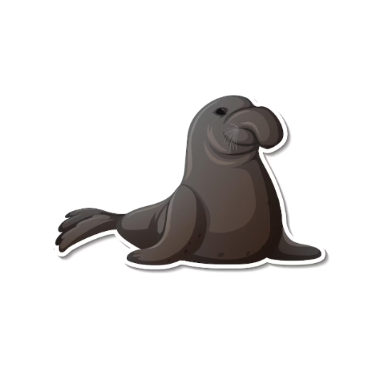 Elephant Seal Wallpaper - AppWisp.com