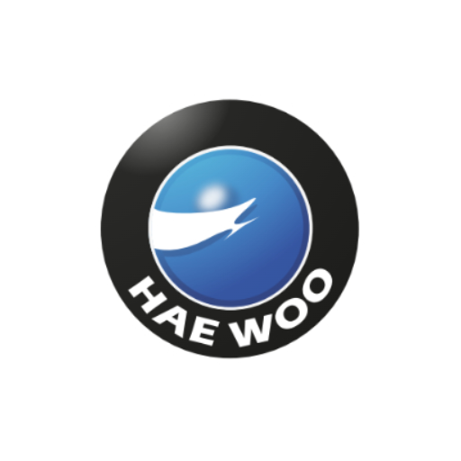 HaewooWMS Download on Windows