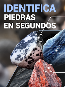 Imagen de la captura de pantalla