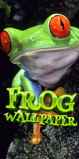 Android application frog wallpaper screenshort