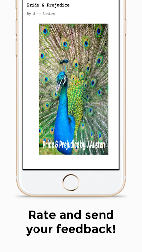 Pride and Prejudice by J.Austen