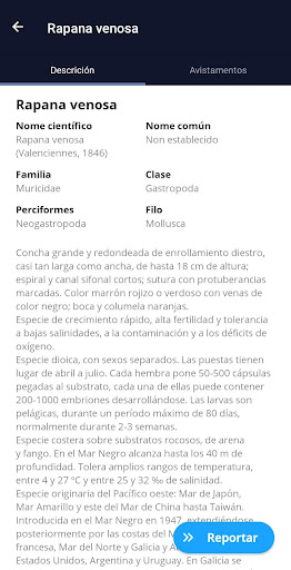Redogal Screen 3
