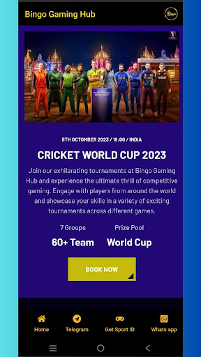 Bingo Gaming Hub Screen 3