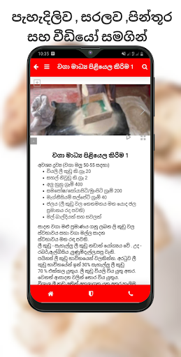 GB STORE-Mushroom Cultivation