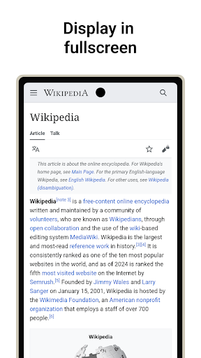 Berry Browser Screen 3