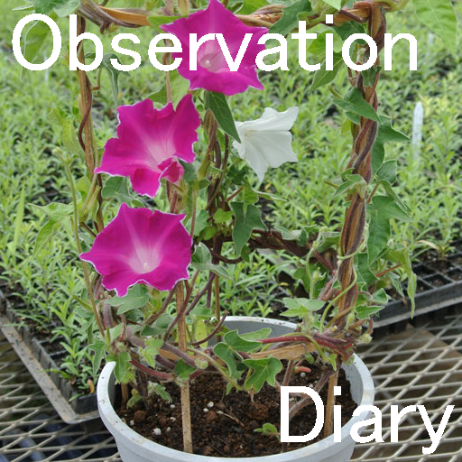 observation diary  Icon