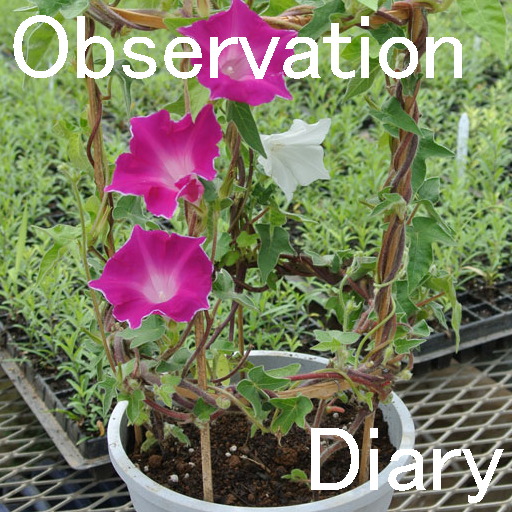 observation diary logo